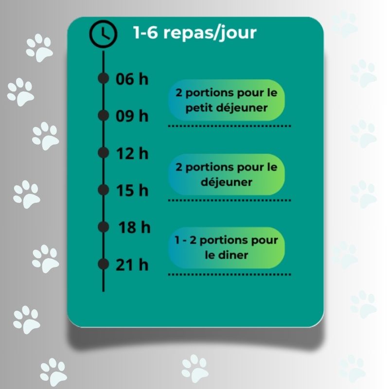 Distributeur Automatique de Croquettes pour Chats et Chiens - Version à Bouton avec Contrôle Intelligent