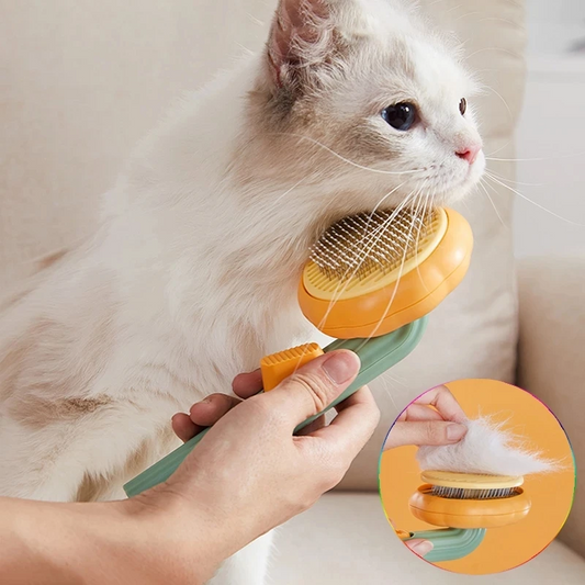 Brosse Auto-Nettoyante Magique : Dites Adieu aux Nœuds et Poils Morts !