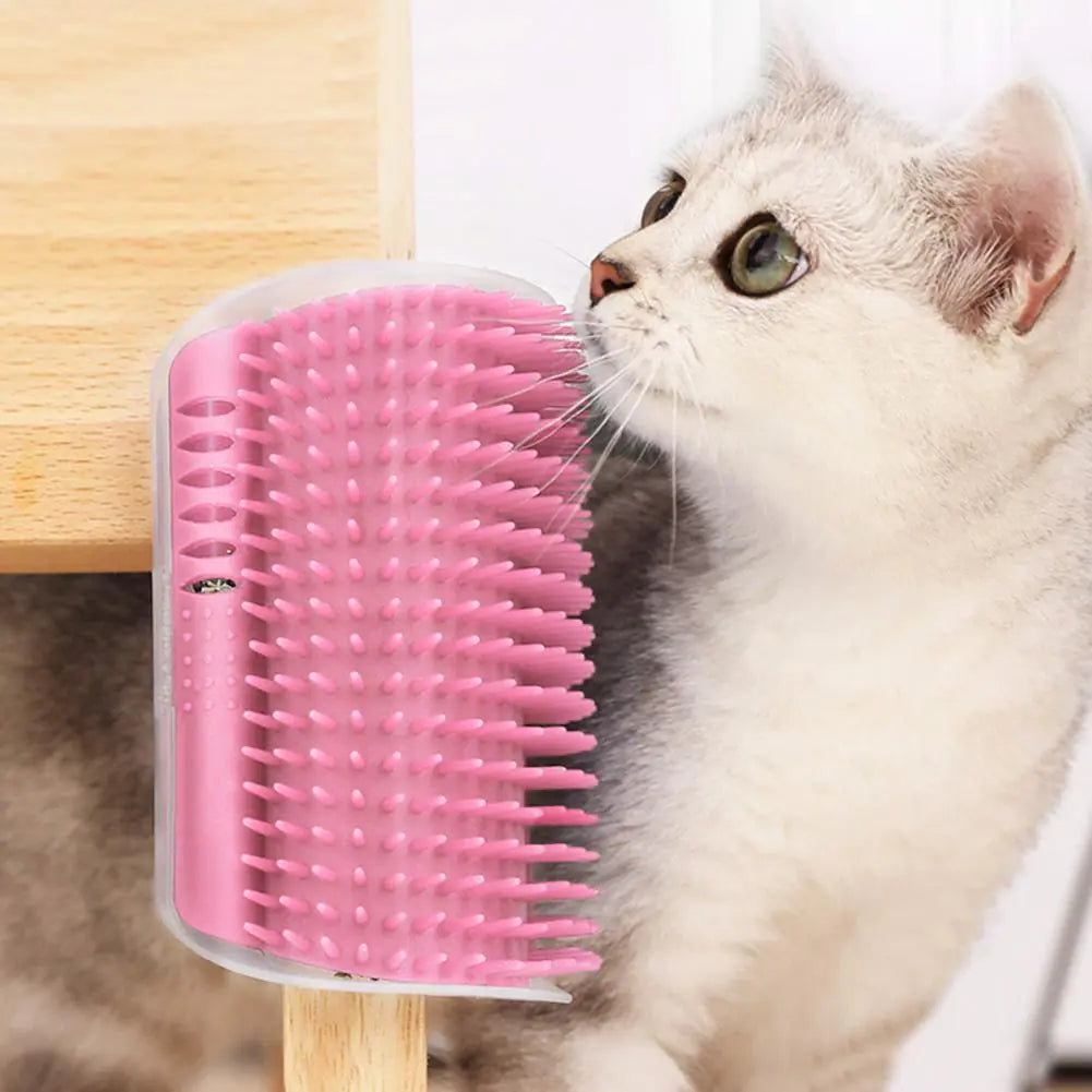 Brosse Massage & Griffoir pour Chat : Le Duo Bien-être Ultime !